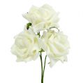 Floristik24 Rosa de espuma Ø7,5cm Crema 18 uds