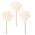 Floristik24 Rosas artificiales, color crema, flor de 10 cm con tallo, 100 unidades.