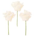 Rosas artificiales, color crema, flor de 10 cm con tallo, 100 unidades. | Floristik24.es