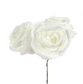 Floristik24 Rosa espuma blanca con nácar Ø7.5cm 12p