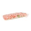 Floristik24 Rosa foam Ø 6cm rosa salmón 27p