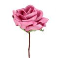 Floristik24 Rosa espuma Ø7.5cm rosa 18p