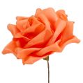 Floristik24 Rosas de espuma naranja Ø15cm 4pcs