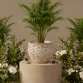Cesta redonda tejida, cesta decorativa grande para plantar, 23 cm. | Floristik24.es
