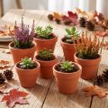 Maceta de barro, Ø5cm, altura 4cm, 10 piezas | Floristik24.es