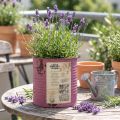 Macetero decorativo vintage de metal morado para decoración veraniega Ø11cm H10.5cm | Floristik24.es