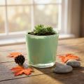 Maceta de cristal Ø10cm H8.5cm verde menta | Floristik24.es
