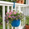 Cesta colgante 25cm azul | Floristik24.es