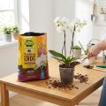 Sustrato para orquídeas FRUX (5 litros) | Floristik24.es