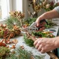 Tijeras de podar, tijeras de florista, tijeras para rosas | Floristik24.es