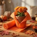 Floreria papel crepe naranja 50x250cm | Floristik24.es