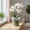 Maceta de plástico “Irys” transparente Ø17cm 1ud | Floristik24.es