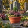 Cuenco de plástico para plantas, Ø20 cm, cuenco para flores, terracota, 5 unidades | Floristik24.es