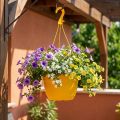 Cesta colgante 25cm amarillo | Floristik24.es