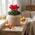 Cesta de yute para macetas, contenedor de almacenamiento de tela natural, Ø26cm H21cm, 3 piezas | Floristik24.es
