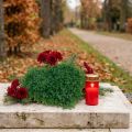 Alfombra decorativa artificial de boj con forma de corazón verde 30,5 cm | Floristik24.es
