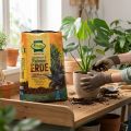 Sustrato Frux Green para plantas y palmeras con fertilizante de liberación lenta, 10 l | Floristik24.es