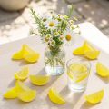 Rodajas de limón artificiales decorativas, 24 piezas, decoración de mesa de verano | Floristik24.es