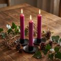 Velas de cera de palo corto en Berry 21×110mm 6 piezas | Floristik24.es