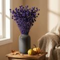 Cardos De Fresa Cardo Seco Decoración De Cardo Violeta 44-58cm 100g | Floristik24.es