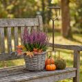 Maceta decorativa para jardín, color marrón, Ø17,5 cm, H30 cm. | Floristik24.es