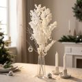 Espárragos de primavera Espárragos en conserva Blancos 55-70cm 100g | Floristik24.es