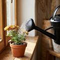 Regadera ducha negra 5l | Floristik24.es