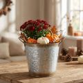 Maceta decorativa con asas, cubo para plantar, recipiente de metal, plata, acero envejecido, Ø17cm H16.5cm | Floristik24.es