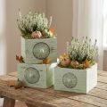 Caja de plantas cajón decorativo verde shabby 15-23cm juego de 3 | Floristik24.es