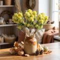 Flores Artificiales Sedum Stonecrop Verde Gallina Gorda 41cm 3uds | Floristik24.es