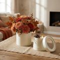 Jardinera redonda de cartón crema Ø10/12cm juego de 2 | Floristik24.es