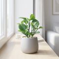 Planta verde artificial suculenta verde artificial Al. 14 cm | Floristik24.es
