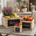 Cajas rústicas de madera con superficie de pizarra – color natural y negro, varios tamaños – solución de organización versátil – juego de 3 | Floristik24.es