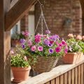 Lámpara basket natural Ø30cm | Floristik24.es