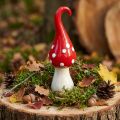 Deco Fly Agaric Ceramic Deco Mushroom Red White Ø6.5cm H21cm | Floristik24.es