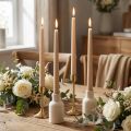Velas cónicas Velas Wenzel beige 250/23mm 12 piezas | Floristik24.es