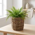 Cesta para plantas con diseño de enredadera, decorativa para macetas y centros de mesa. | Floristik24.es