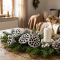 Frasco de loto decorativo natural Lotos blanco lavado 6-8 cm 50 piezas | Floristik24.es