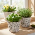 Maceta con aspecto de corteza, ideal para diseño interior rústico y decoración con plantas, 12 cm, 4 piezas | Floristik24.es