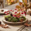 Mini setas venenosas sobre alambre setas decorativas rojas y blancas Ø2cm 48 piezas | Floristik24.es