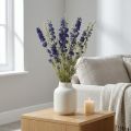 Delphinium seco, floristería seca, azul delphinium L64cm 25g | Floristik24.es