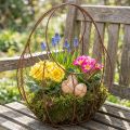 Cesta de alambre, maceta de metal, decoración de primavera, cesta de Pascua, marrón, acabado óxido, 34 cm de alto x 30 cm de largo. | Floristik24.es