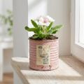 Maceta decorativa redonda de hojalata con forma de rosa antigua, Ø8cm H7.5cm | Floristik24.es