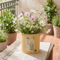 Lata decorativa, albaricoque, maceta de metal, decoración de verano, Ø15,5 cm H15 cm | Floristik24.es
