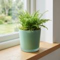 Macetero de cristal macetero verde bañera de cristal Ø11,5cm H11cm | Floristik24.es