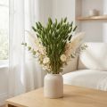 Hierba de cola de conejo (Lagurus) verde decorativa seca 50-60 cm 50 g Flores secas | Floristik24.es