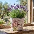 Maceta de plástico para flores de lavanda Ø13,5cm H12cm | Floristik24.es