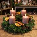 Velas navideñas rosas, velas de pilar, juego de 4, decoración invernal Ø5cm H6cm | Floristik24.es