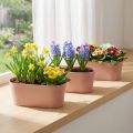 Cuenco para plantas cuenco decorativo ovalado plástico rosa marrón 27×11×10cm 3ud | Floristik24.es