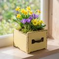 Cajón para plantas caja decorativa de madera para plantas amarillo 12,5 cm | Floristik24.es
